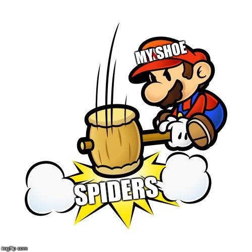 Scary Spiders | MY SHOE; SPIDERS | image tagged in memes,mario hammer smash,spider,mario,relatable,shoe | made w/ Imgflip meme maker