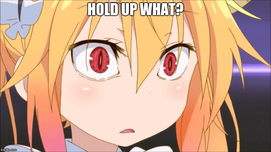 Tohru | HOLD UP WHAT? | image tagged in tohru | made w/ Imgflip meme maker
