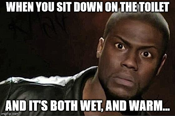 Kevin Hart Meme | WHEN YOU SIT DOWN ON THE TOILET; AND IT'S BOTH WET, AND WARM... | image tagged in memes,kevin hart | made w/ Imgflip meme maker