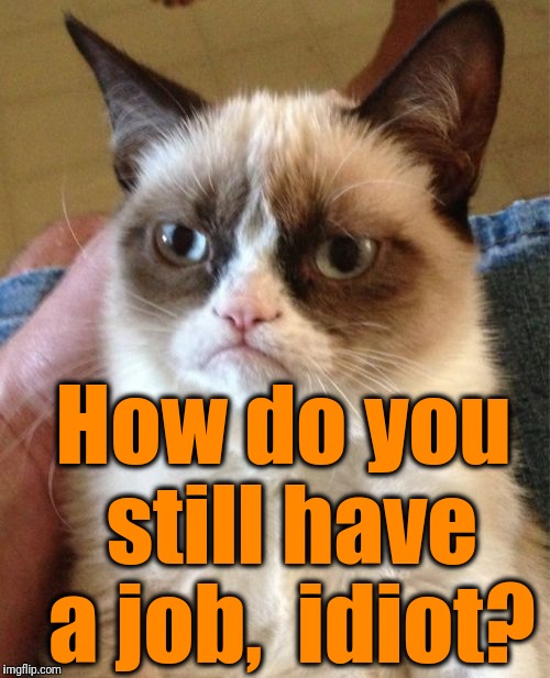 Grumpy Cat Meme | How do you still have a job,  idiot? | image tagged in memes,grumpy cat | made w/ Imgflip meme maker