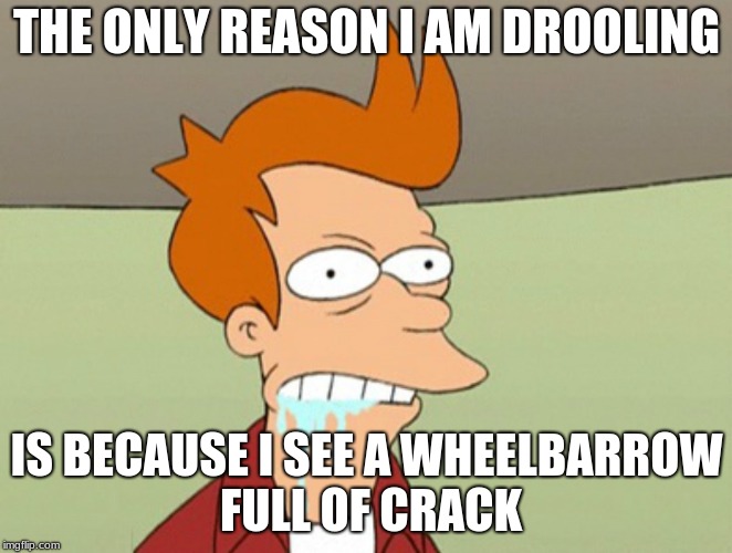 Slobbery Futurama Fry | THE ONLY REASON I AM DROOLING; IS BECAUSE I SEE A WHEELBARROW FULL OF CRACK | image tagged in slobbery futurama fry | made w/ Imgflip meme maker