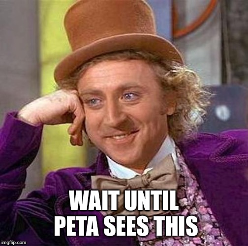 Creepy Condescending Wonka Meme | WAIT UNTIL PETA SEES THIS | image tagged in memes,creepy condescending wonka | made w/ Imgflip meme maker