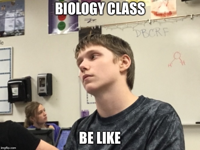 BIOLOGY CLASS; BE LIKE | image tagged in class | made w/ Imgflip meme maker