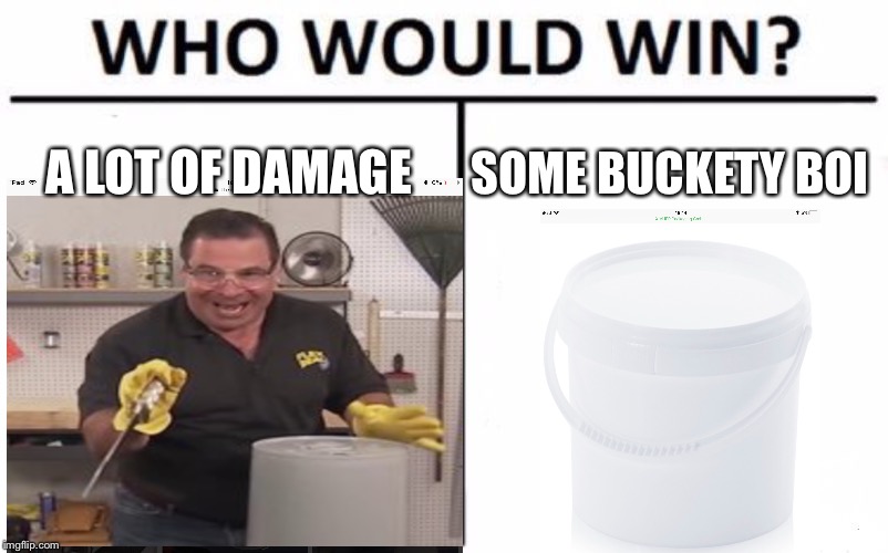 Some flexy boi | A LOT OF DAMAGE; SOME BUCKETY BOI | image tagged in memes,who would win | made w/ Imgflip meme maker