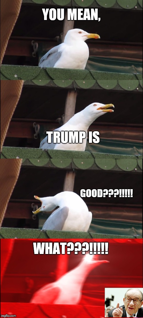 Inhaling Seagull | YOU MEAN, TRUMP IS; GOOD???!!!!! WHAT???!!!!! | image tagged in memes,inhaling seagull | made w/ Imgflip meme maker