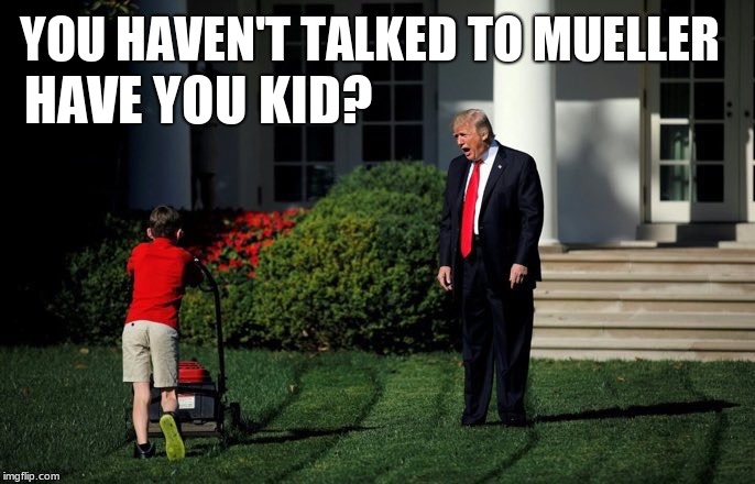 Trump Lawn Mower | HAVE YOU KID? YOU HAVEN'T TALKED TO MUELLER | image tagged in trump lawn mower | made w/ Imgflip meme maker