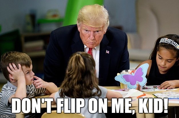 Trump flipper | image tagged in donald trump | made w/ Imgflip meme maker