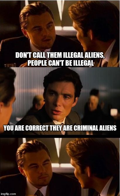 Inception | DON'T CALL THEM ILLEGAL ALIENS, PEOPLE CAN'T BE ILLEGAL; YOU ARE CORRECT THEY ARE CRIMINAL ALIENS | image tagged in memes,inception | made w/ Imgflip meme maker