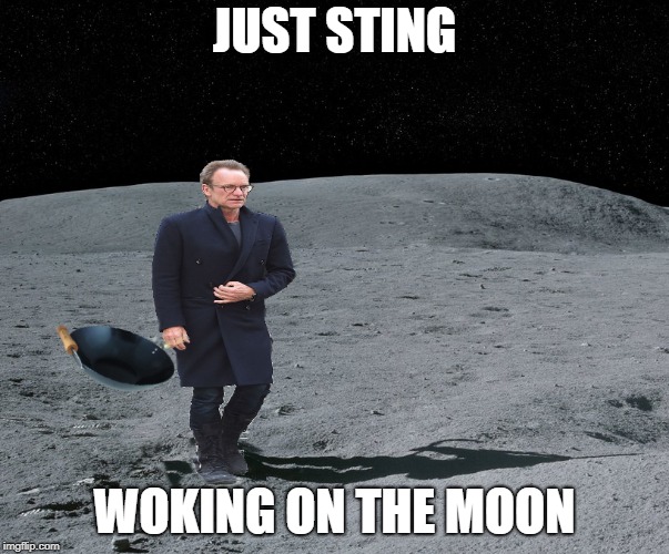 JUST STING WOKING ON THE MOON | made w/ Imgflip meme maker