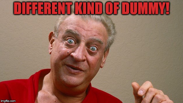 Rodney Dangerfield | DIFFERENT KIND OF DUMMY! | image tagged in rodney dangerfield | made w/ Imgflip meme maker