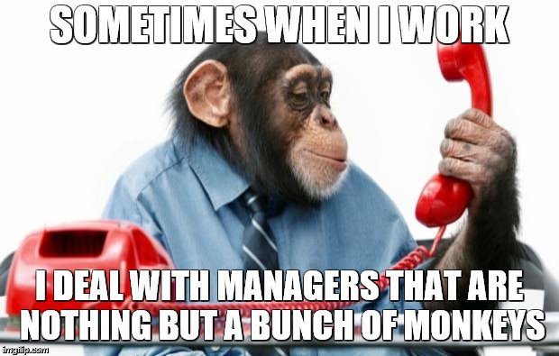 monkey manager | SOMETIMES WHEN I WORK; I DEAL WITH MANAGERS THAT ARE NOTHING BUT A BUNCH OF MONKEYS | image tagged in monkey manager | made w/ Imgflip meme maker