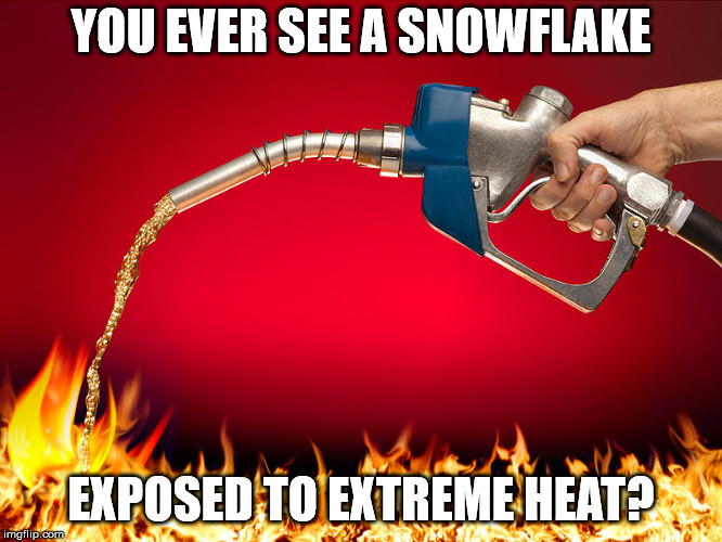 Fuel to the fire | YOU EVER SEE A SNOWFLAKE EXPOSED TO EXTREME HEAT? | image tagged in fuel to the fire | made w/ Imgflip meme maker