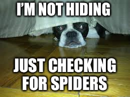 I’M NOT HIDING JUST CHECKING FOR SPIDERS | made w/ Imgflip meme maker
