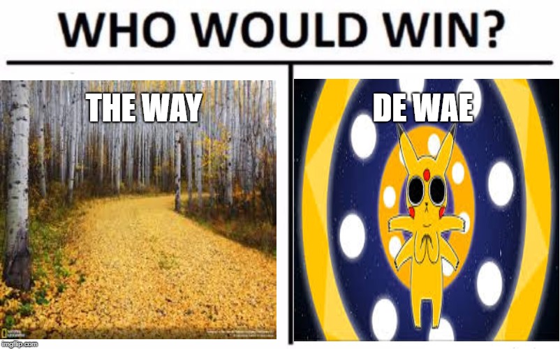 Who Would Win? | THE WAY; DE WAE | image tagged in memes,who would win | made w/ Imgflip meme maker