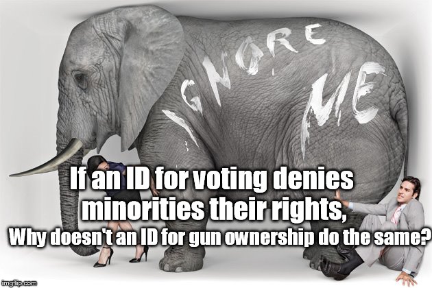 elephant in the room | If an ID for voting denies minorities their rights, Why doesn't an ID for gun ownership do the same? | image tagged in elephant in the room | made w/ Imgflip meme maker