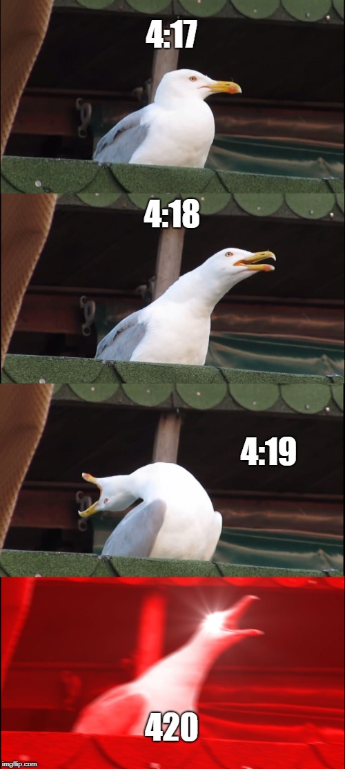 Inhaling Seagull | 4:17; 4:18; 4:19; 420 | image tagged in memes,inhaling seagull | made w/ Imgflip meme maker