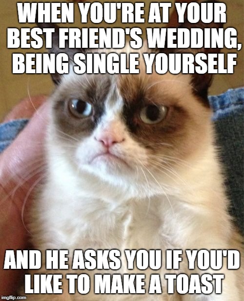 Why | WHEN YOU'RE AT YOUR BEST FRIEND'S WEDDING, BEING SINGLE YOURSELF; AND HE ASKS YOU IF YOU'D LIKE TO MAKE A TOAST | image tagged in memes,grumpy cat,single life,salt | made w/ Imgflip meme maker