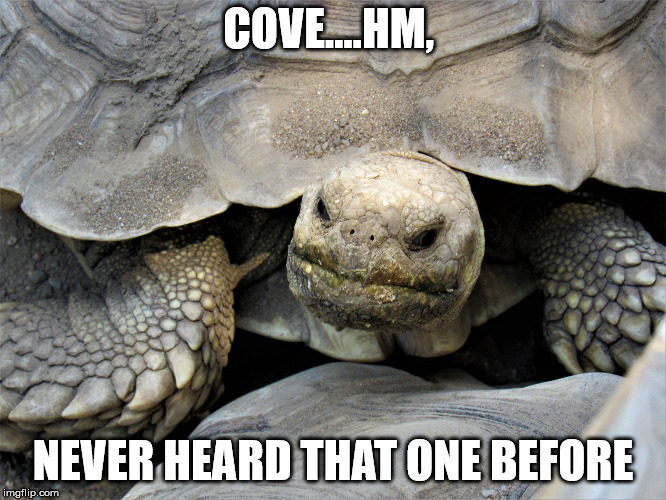 grumpy tortoise | COVE....HM, NEVER HEARD THAT ONE BEFORE | image tagged in grumpy tortoise | made w/ Imgflip meme maker