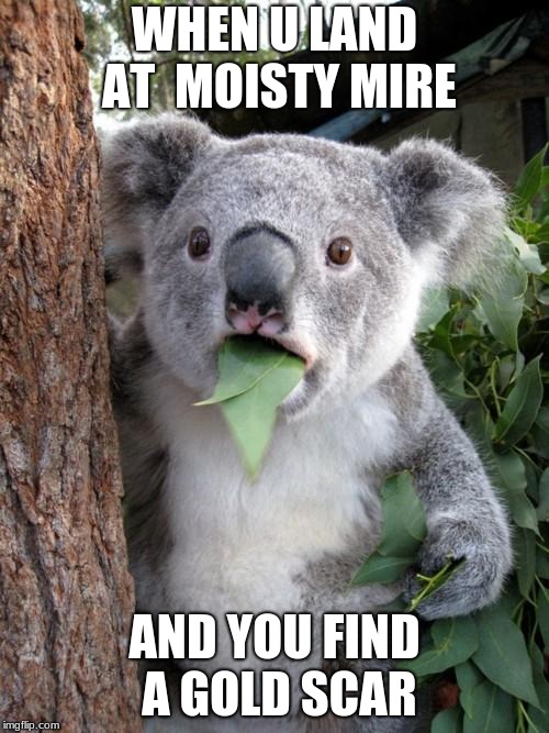 Surprised Koala | WHEN U LAND AT  MOISTY MIRE; AND YOU FIND A GOLD SCAR | image tagged in memes,surprised koala | made w/ Imgflip meme maker