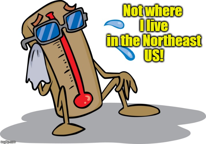 Not where I live in the Northeast US! | made w/ Imgflip meme maker