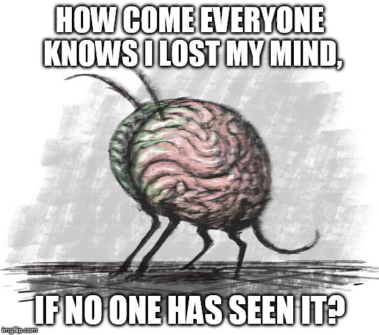 lost mind | HOW COME EVERYONE KNOWS I LOST MY MIND, IF NO ONE HAS SEEN IT? | image tagged in lost mind | made w/ Imgflip meme maker
