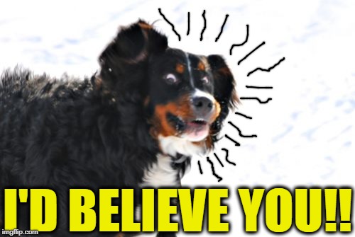 Crazy Dawg Meme | I'D BELIEVE YOU!! | image tagged in memes,crazy dawg | made w/ Imgflip meme maker