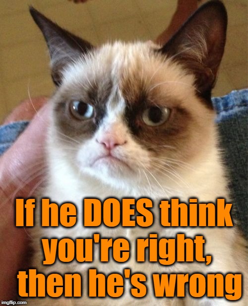 Grumpy Cat Meme | If he DOES think you're right,  then he's wrong | image tagged in memes,grumpy cat | made w/ Imgflip meme maker