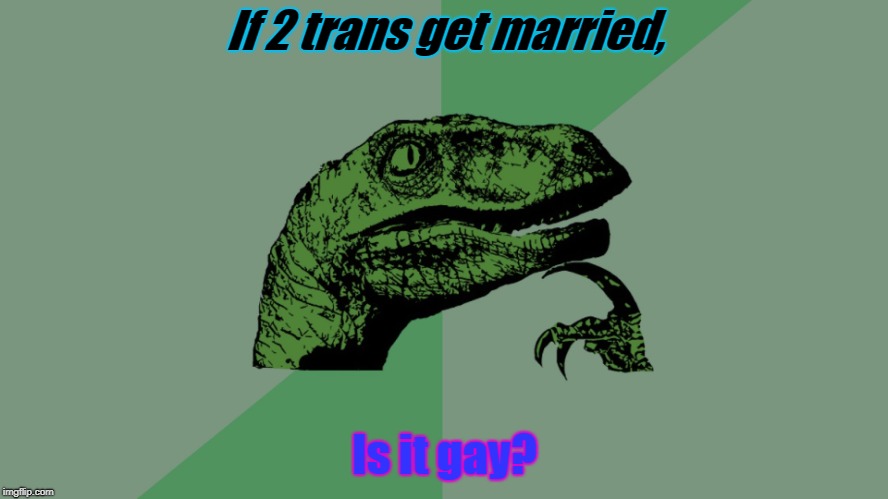 I literally dont know please tell me in comments | If 2 trans get married, Is it gay? | image tagged in philosophy dinosaur,gay,trans,philosoraptor,memes,question | made w/ Imgflip meme maker