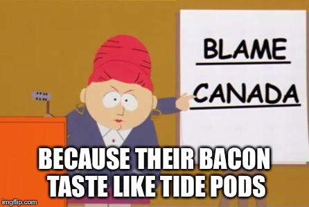 blame canada | BECAUSE THEIR BACON TASTE LIKE TIDE PODS | image tagged in blame canada | made w/ Imgflip meme maker