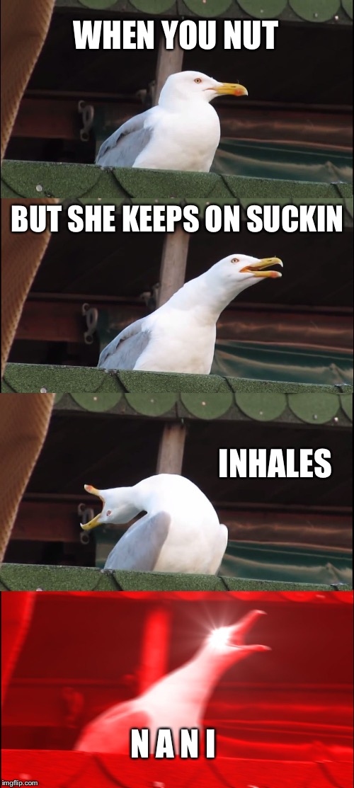 Inhaling Seagull | WHEN YOU NUT; BUT SHE KEEPS ON SUCKIN; INHALES; N A N I | image tagged in memes,inhaling seagull | made w/ Imgflip meme maker