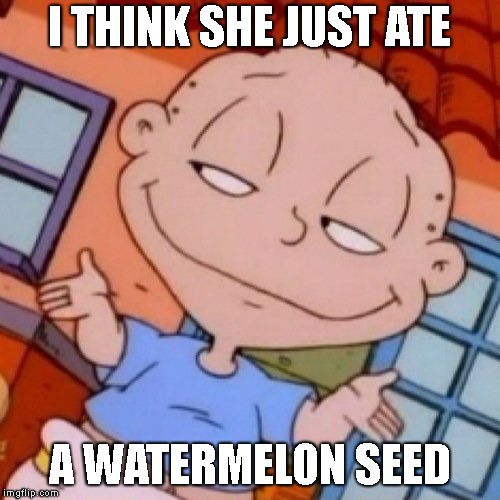 Rugrats | I THINK SHE JUST ATE A WATERMELON SEED | image tagged in rugrats | made w/ Imgflip meme maker