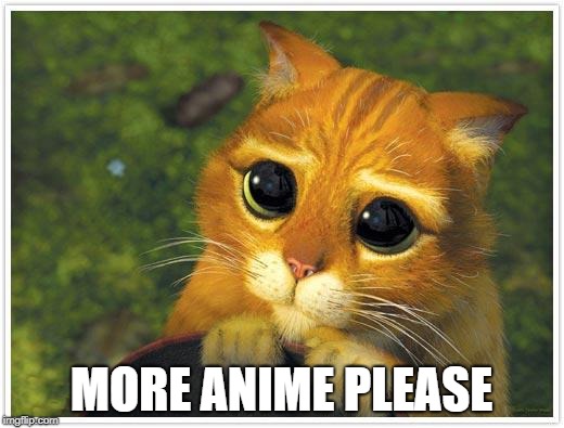 please | MORE ANIME PLEASE | image tagged in memes,shrek cat | made w/ Imgflip meme maker