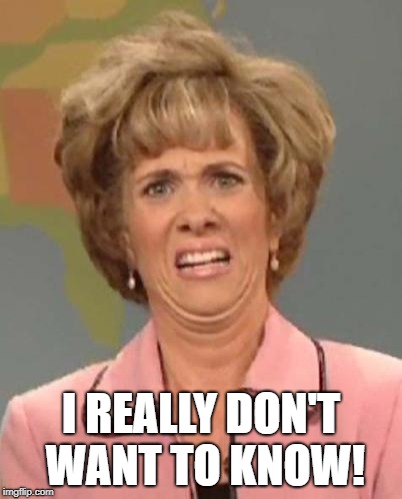 Disgusted Kristin Wiig | I REALLY DON'T WANT TO KNOW! | image tagged in disgusted kristin wiig | made w/ Imgflip meme maker