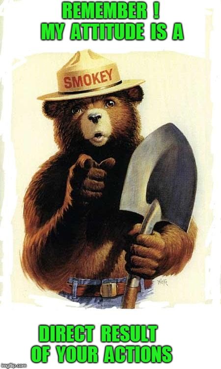 Smokey The Bear | REMEMBER  !      MY  ATTITUDE  IS  A; DIRECT  RESULT  OF  YOUR  ACTIONS | image tagged in smokey the bear | made w/ Imgflip meme maker