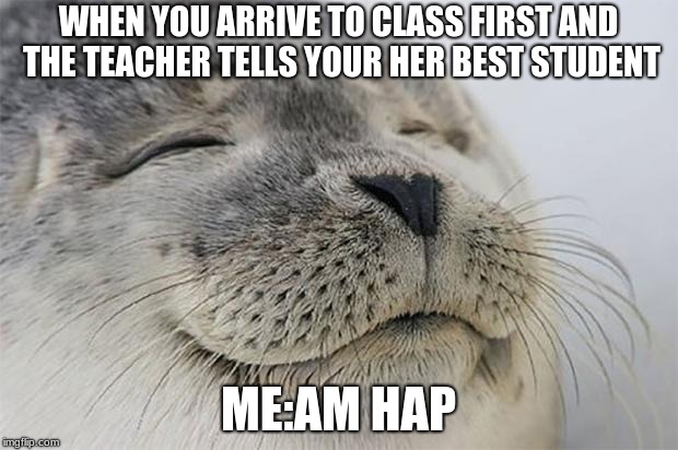 Satisfied Seal | WHEN YOU ARRIVE TO CLASS FIRST AND THE TEACHER TELLS YOUR HER BEST STUDENT; ME:AM HAP | image tagged in memes,satisfied seal | made w/ Imgflip meme maker