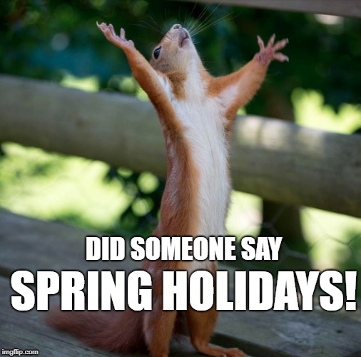 Happy Holidays | SPRING HOLIDAYS! DID SOMEONE SAY | image tagged in happy holidays | made w/ Imgflip meme maker
