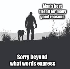 Man’s best friend for many good reasons Sorry beyond what words express | made w/ Imgflip meme maker