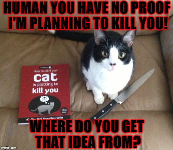 HUMAN YOU HAVE NO PROOF I'M PLANNING TO KILL YOU! WHERE DO YOU GET THAT IDEA FROM? | image tagged in prove it | made w/ Imgflip meme maker