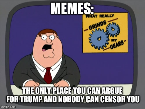 Peter Griffin News | MEMES:; THE ONLY PLACE YOU CAN ARGUE FOR TRUMP AND NOBODY CAN CENSOR YOU | image tagged in memes,peter griffin news | made w/ Imgflip meme maker