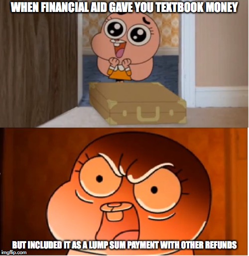 Lump Sum Refund | WHEN FINANCIAL AID GAVE YOU TEXTBOOK MONEY; BUT INCLUDED IT AS A LUMP SUM PAYMENT WITH OTHER REFUNDS | image tagged in gumball - anais false hope meme,college,memes | made w/ Imgflip meme maker