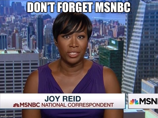 MSNBC Joy Reid | DON’T FORGET MSNBC | image tagged in msnbc joy reid | made w/ Imgflip meme maker