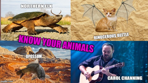 The Zoo is Educational | KNOW YOUR ANIMALS | image tagged in shoop,that's not right,lol | made w/ Imgflip meme maker