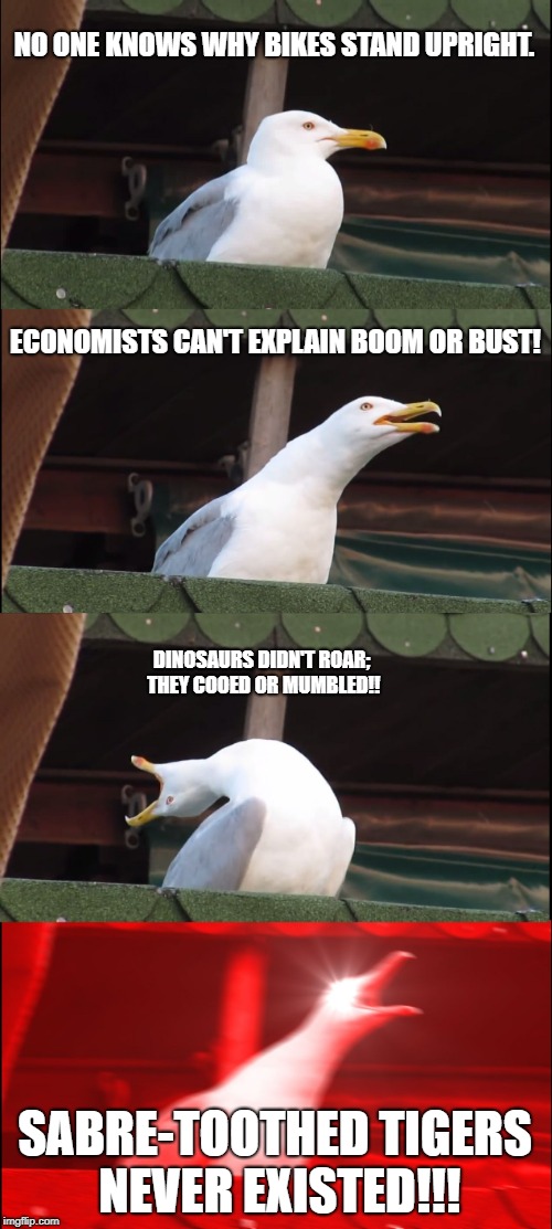 its legit 6am now and a sudden urge to make memes after 7 months without imgflip | NO ONE KNOWS WHY BIKES STAND UPRIGHT. ECONOMISTS CAN'T EXPLAIN BOOM OR BUST! DINOSAURS DIDN'T ROAR; THEY COOED OR MUMBLED!! SABRE-TOOTHED TIGERS NEVER EXISTED!!! | image tagged in memes,inhaling seagull,more facts | made w/ Imgflip meme maker