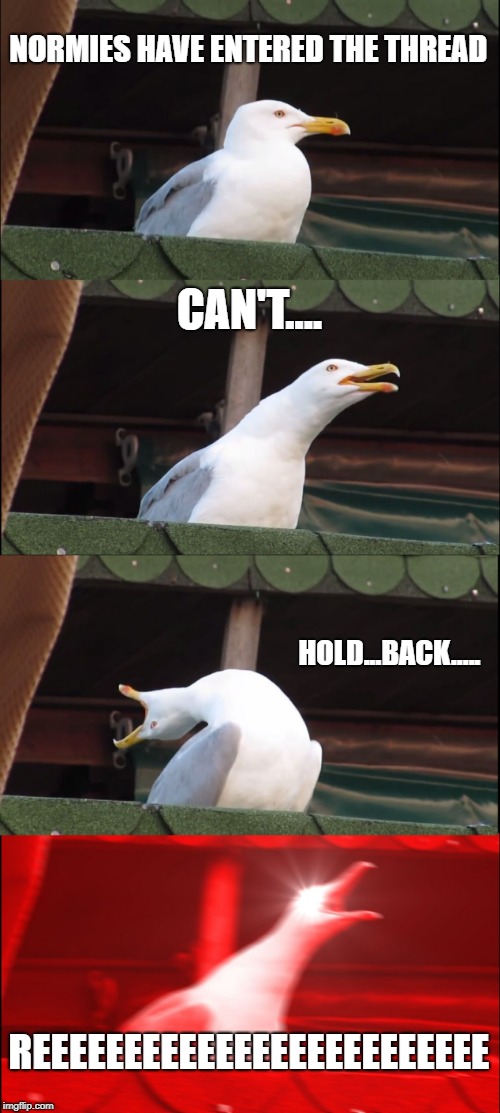 Inhaling Seagull | NORMIES HAVE ENTERED THE THREAD; CAN'T.... HOLD...BACK..... REEEEEEEEEEEEEEEEEEEEEEEEE | image tagged in memes,inhaling seagull | made w/ Imgflip meme maker