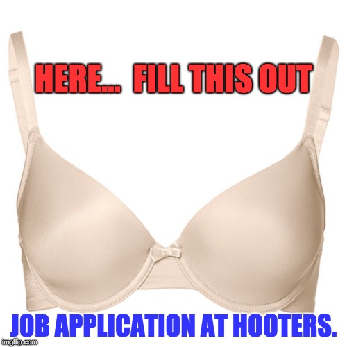 Hooters job application | HERE...  FILL THIS OUT; JOB APPLICATION AT HOOTERS. | image tagged in hooters | made w/ Imgflip meme maker