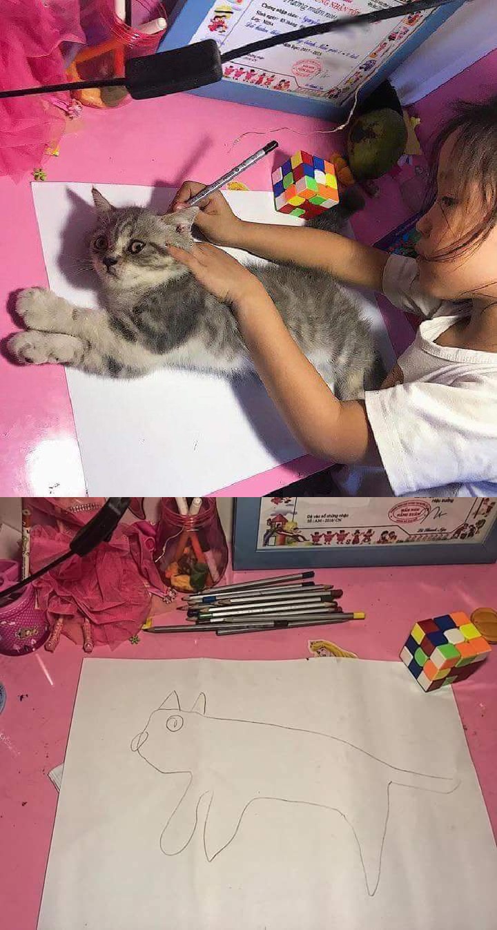 Girl drawing cat Blank Meme Template
