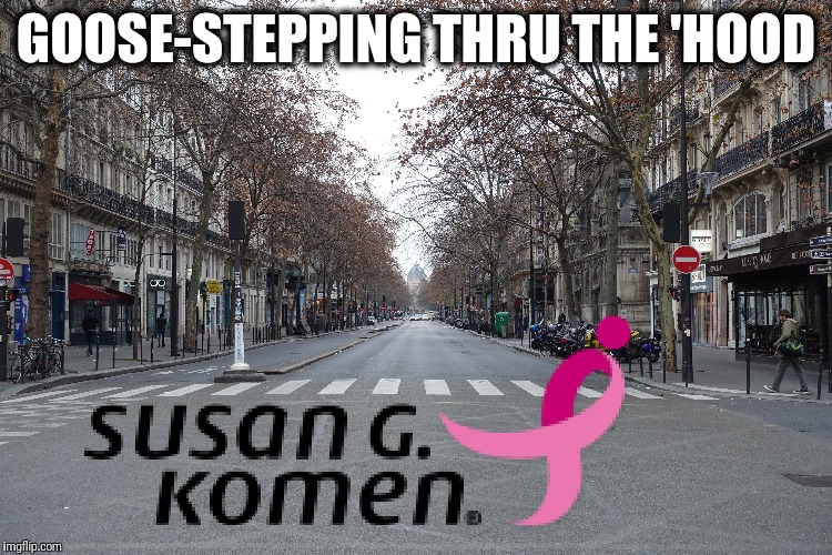 Goose-stepping?  WTF?!? | GOOSE-STEPPING THRU THE 'HOOD | image tagged in memes,susan g komen,goose-stepping,wtf | made w/ Imgflip meme maker