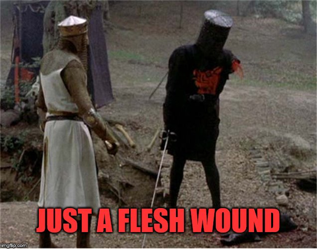 FLesh wound | JUST A FLESH WOUND | image tagged in flesh wound | made w/ Imgflip meme maker