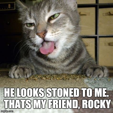 HE LOOKS STONED TO ME. THATS MY FRIEND, ROCKY | made w/ Imgflip meme maker