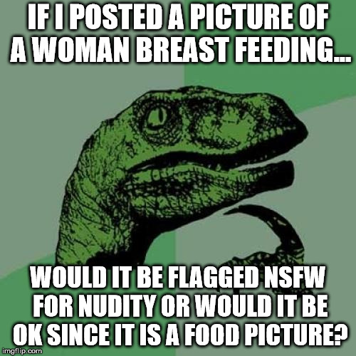 Would this be a quandary for the approval process?  | IF I POSTED A PICTURE OF A WOMAN BREAST FEEDING... WOULD IT BE FLAGGED NSFW FOR NUDITY OR WOULD IT BE OK SINCE IT IS A FOOD PICTURE? | image tagged in memes,philosoraptor,think about it,funny meme,philosophy | made w/ Imgflip meme maker
